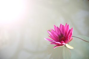「自己批判」から「自己共感」へとシフトすることは、インナーチャイルドの癒しのプロセス